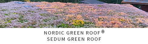Nordic Green Roof
