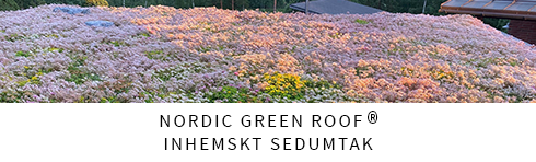 Maksaruohoviherkatto Nordic Green Roof