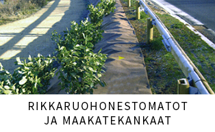 Rikkaruohonestomatot ja maakatekankaat