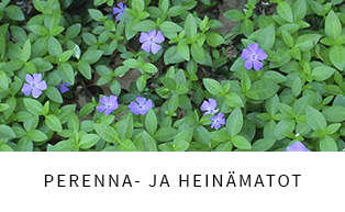 Perennamatot ja -heinät