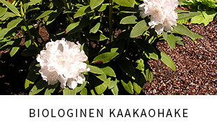 Biologinen kaakaohake