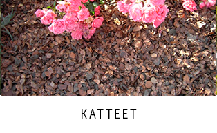 Katteet