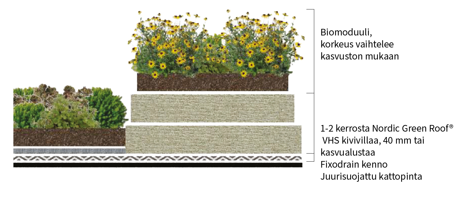 Biomoduuli leikkauskuva