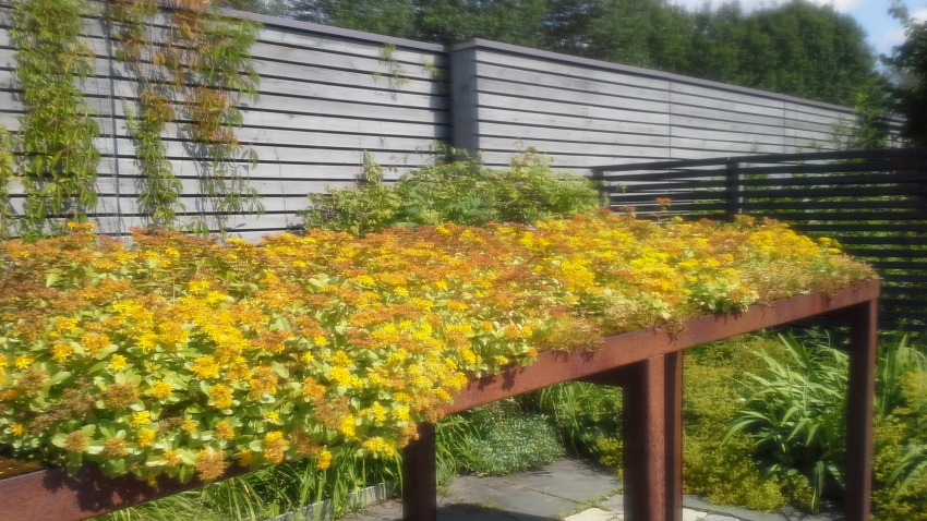 Nordic Green Roof® maksaruohomatto kukkii näyttävästi Mikkelissä. Kasvattaja ja asentaja Eg-Trading Oy.