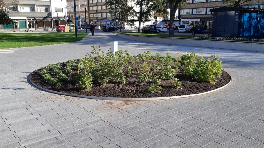 Milford Aluexcel reunalistaa asennettuna istutusalueen reunaan.