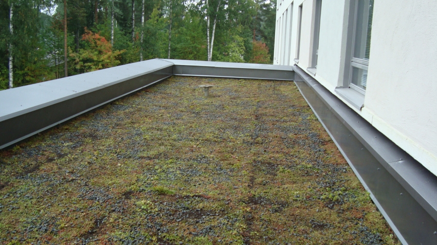 Nordic Green Roof -maksaruohomatto asennettuna Kontulan palvelutalon katolla. Asentaja Eg-Trading Oy.