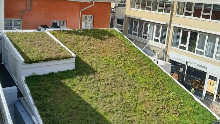 Valmis asennettu Nordic Green Roof maksaruohoviherkatto Casagrande-talon katolla. Asennnuksen on suorittanut Eg-Trading Oy.