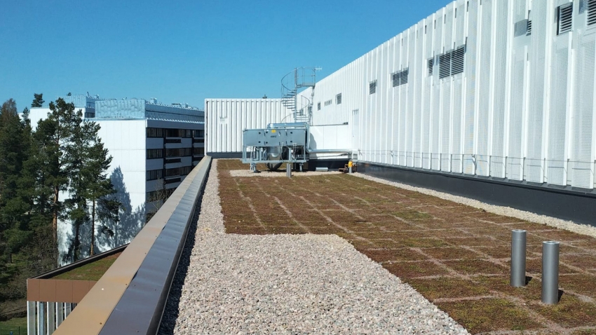 Helsingin kielilukion katolle on asennettu Nordic Green Roof maksaruohoviherkatto someroreunalla. Työn on toteuttanut Eg-Trading Oy.