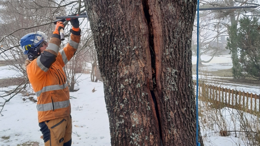 Eg-Trading Oy:n arboristi lisää kierretangon molempiin päihin aluslevyn.