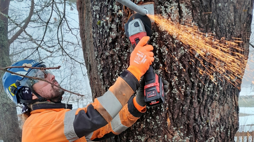 Eg-Trading Oy:n arboristi leikkaa ylimääräisen kierretangon pois .