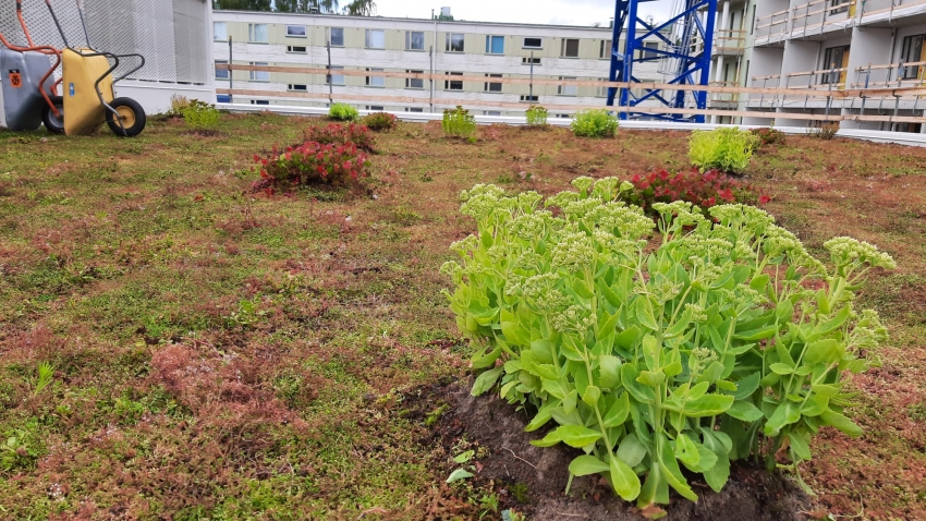 Nordic Green Roof -maksaruohomatto ja biomoduulit asennettuna paikoitushallin katolle. Asentaja Eg-Trading Oy.