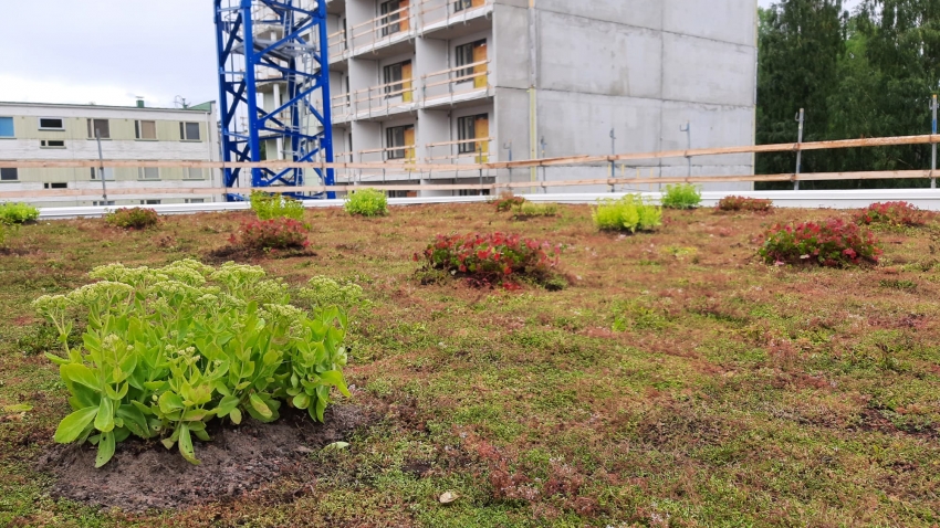 Nordic Green Roof -maksaruohomatto ja biomoduulit asennettuna paikoitushallin katolle. Asentaja Eg-Trading Oy.