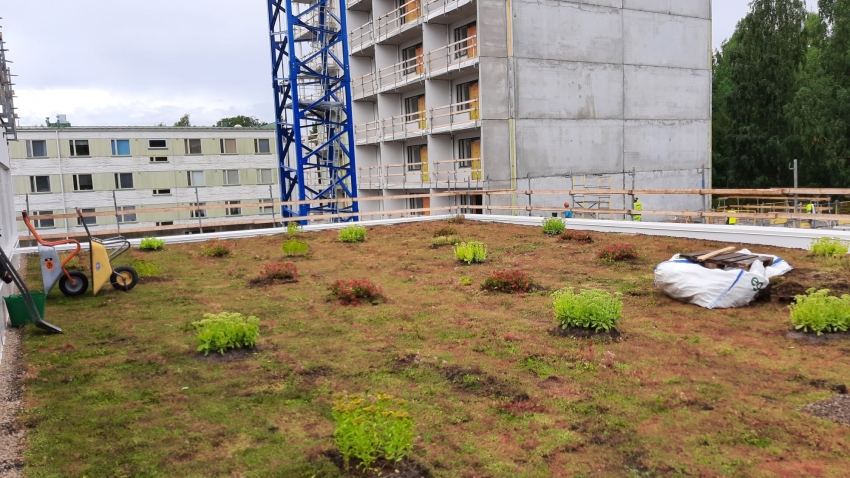 Nordic Green Roof -maksaruohomatto ja biomoduulit asennettuna paikoitushallin katolle. Asentaja Eg-Trading Oy.