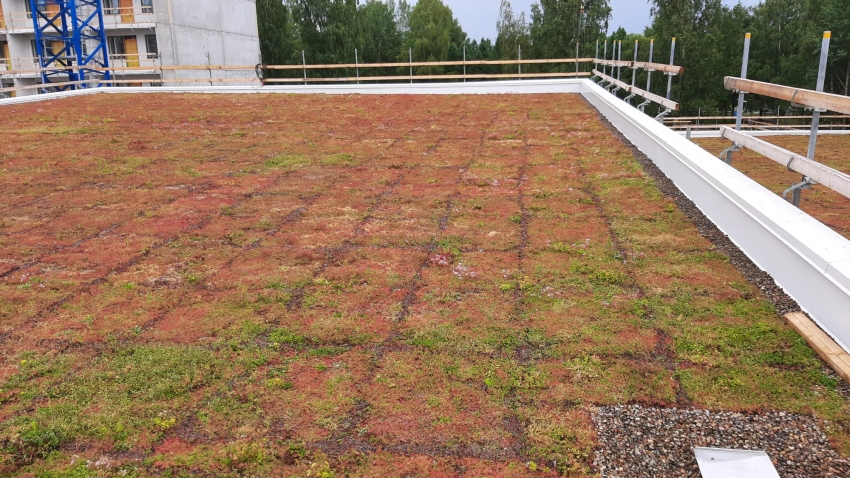 Nordic Green Roof -maksaruohomatto asennettuna paikoitushallin katolle. Asentaja Eg-Trading Oy.