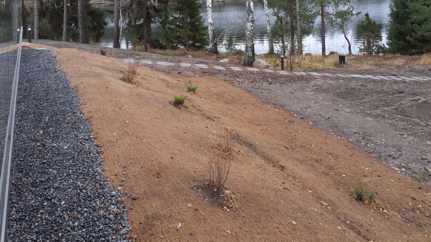 Huvila Hedmanin päärakennuksen terassin edessä on jyrkkä rinne, johon on asennettu siemeneroosiomattoa ja istutettu pensaita ja havuja. Työn toteuttaja Eg-Trading Oy.