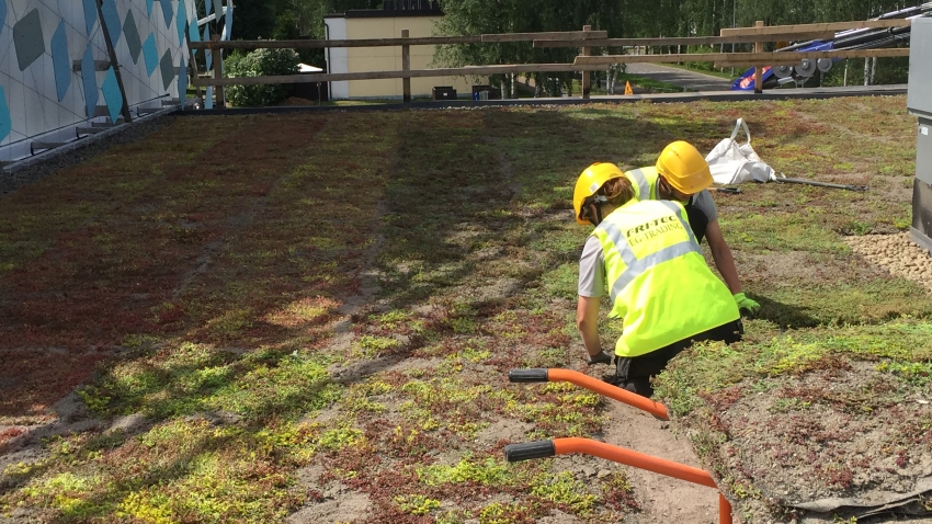 Tasaiselle katolle asennetaan Nordic Green Roof® maksaruohomattoa. Asentaja Eg-Trading Oy.