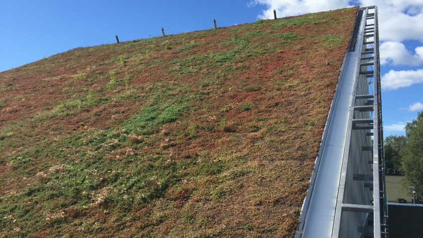 Valmis Nordic Green Roof® maksaruohomattopinta kaltevalla katolla. Asentaja Eg-Trading Oy.