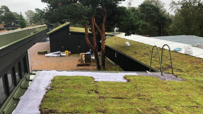 Nordic Green Roof® maksaruohomattoja asennetaan vedenpitomaton päälle. Asentaja Eg-Trading Oy.