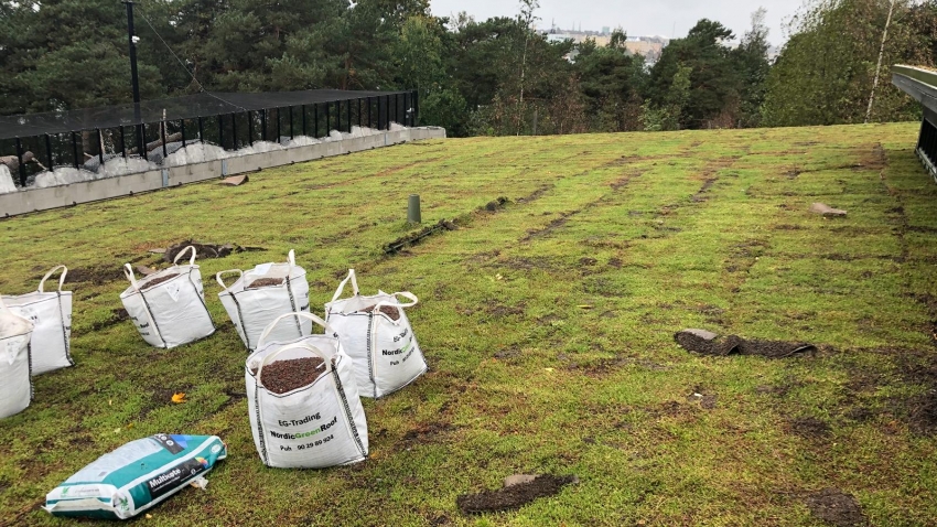 Nordic Green Roof® maksaruohomatot saumataan. Asentaja Eg-Trading Oy.