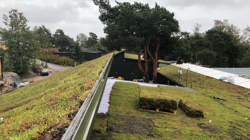 Nordic Green Roof® maksaruohomattoja asennetaan vedenpitomaton päälle. Asentaja Eg-Trading Oy.