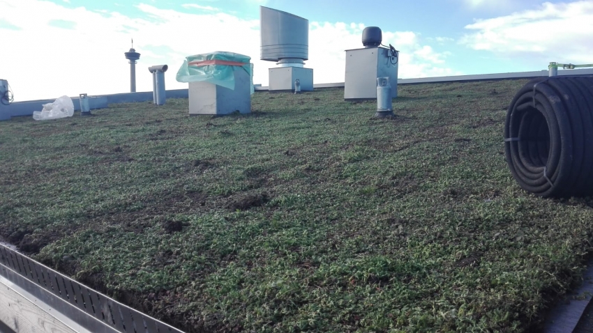 Valmis Nordic Green Roof® maksaruohoviherkatto. Asentaja Eg-Trading Oy.