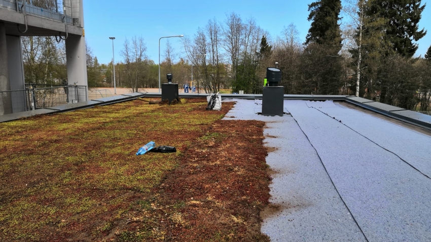 Nordic Green Roof® maksaruohomattoa asennetaan vedenpitomaton päälle. Eg-Trading Oy.