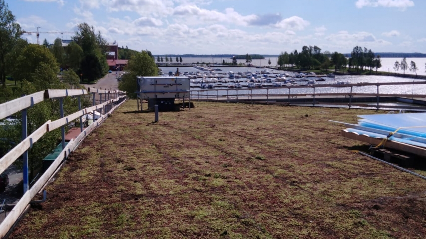 Valmis Nordic Green Roof® maksaruohoviherkatto. Asentaja Eg-trading Oy.