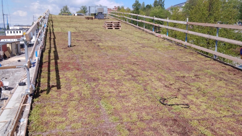 Valmis Nordic Green Roof® maksaruohoviherkatto. Asentaja Eg-trading Oy.