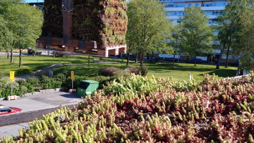 Nordic Green Roof® maksaruohomattolavoja nostetaan katolle. Asentaja Eg-trading Oy.