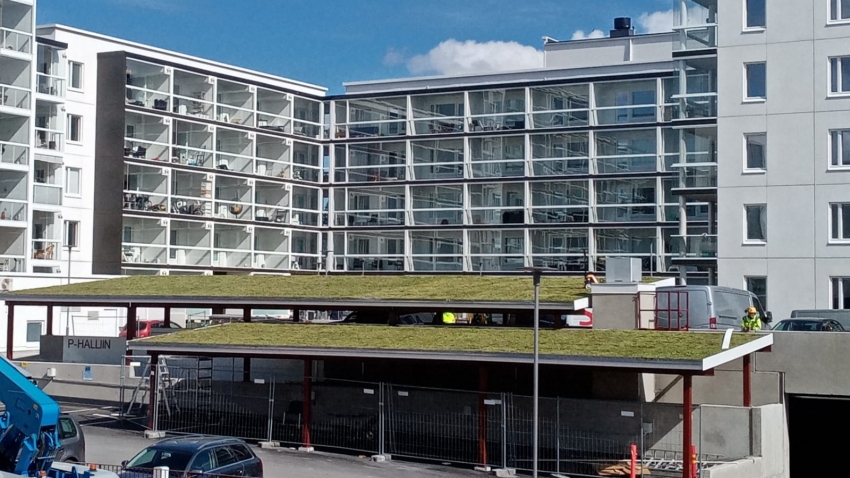 Valmis Nordic Green Roof® maksaruohoviherkatto. Asentaja Eg-trading Oy.