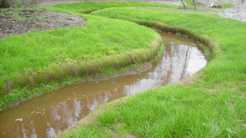 Greenfix 7 eroosiomatolla ja kookosrullalla tuenta vesirajassa Vantaan Kylmänojalla, Covamat Type 3 siemeneroosiomattolla eroosiosuojaus.