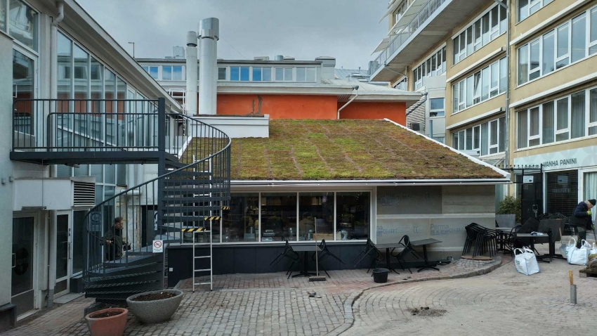 Siirtyminen referenssiin Casagrande-talon Nordic Green Roof maksaruohoviherkatto biopaneeleilla