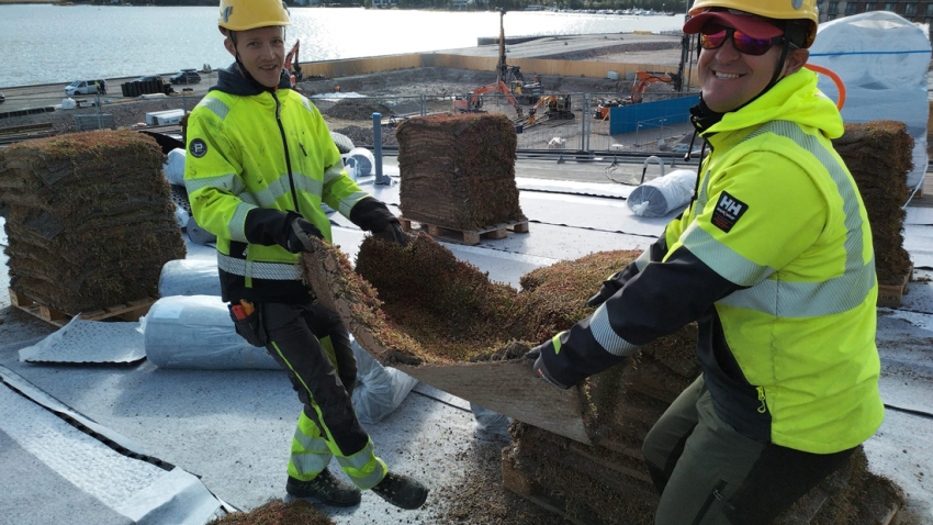 Siirtyminen referenssiin Nordic Green Roof® maksaruohoviherkatto Verkkosaaren päiväkoti sivustolla eg-trading.fi.