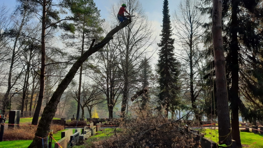 Siirtyminen referenssivalikkoon Puunhoito/arboristityöt sivustolla eg-trading.fi.