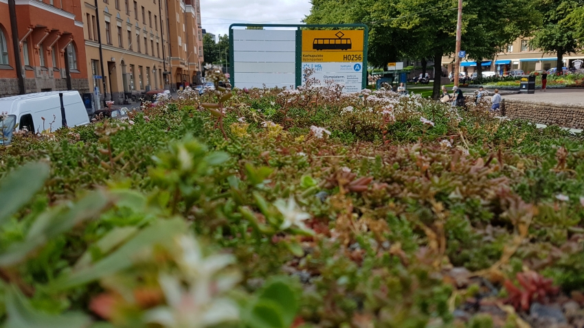 Siirtyminen referenssiin Nordic Green Roof® maksaruohoviherkatot raitiovaunupysäkeillä sivustolla eg-trading.fi.