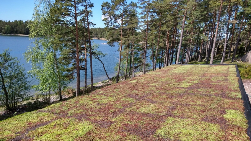 Siirtyminen referenssiin Nordic Green Roof® maksaruohoviherkatto Skåldössä sivustolla eg-trading.fi.