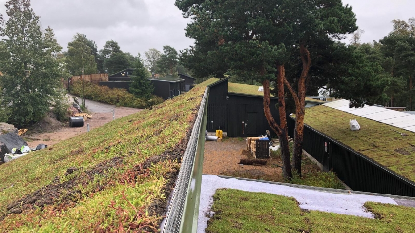 Siirtyminen referenssiin Nordic Green Roof® maksaruohoviherkatto Korkeasaaressa sivustolla eg-trading.fi.