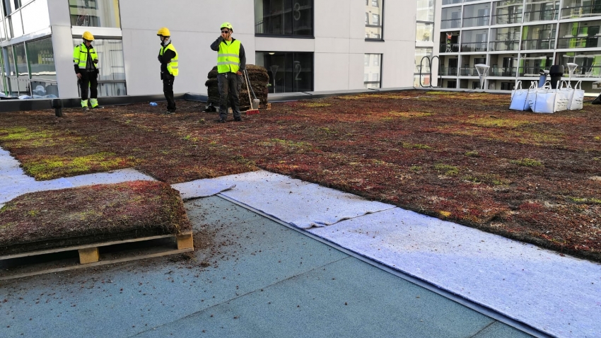 Siirtyminen referenssiin Nordic Green Roof® maksaruohoviherkatto sivustolla eg-trading.fi.