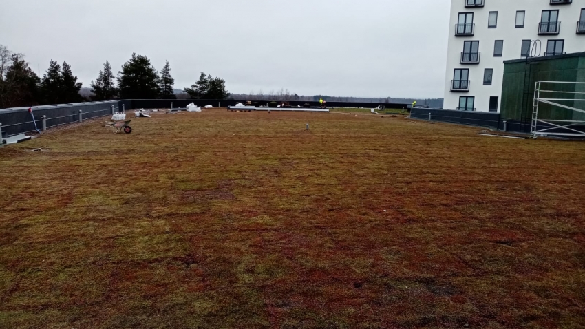 Siirtyminen referenssiin Nordic Green Roof® maksaruohoviherkatto Kangasalaparkki sivustolla eg-trading.fi.