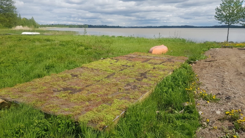 Siirtyminen referenssiin Nordic Green Roof® maksaruohomatto lintusaaressa sivustolla eg-trading.fi.