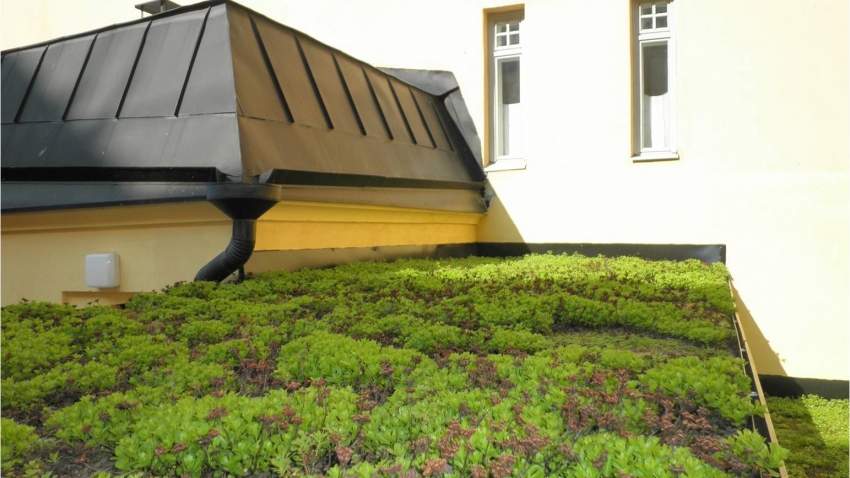 Siirtyminen referenssiin Nordic Green Roof maksaruohokatto Tehtaankadulla sivustolla eg-trading.fi.a