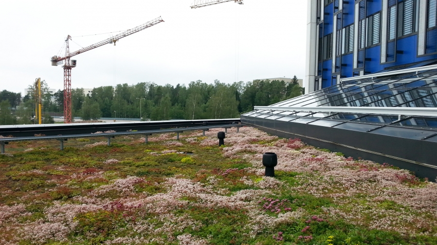 Siirtyminen referenssiin Nordic Green Roof® maksaruohoviherkattoja Keilaniemessä sivustolla eg-trading.fi.