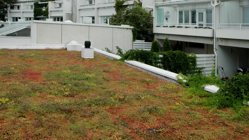 Siirtyminen referenssiin Nordic Green Roof® maksaruohoviherkattoja Merivalkamassa sivustolla eg-trading.fi.