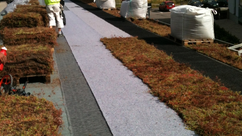 Nordic Green Roof -maksaruohomattoa asennetaan Kontulan palvelutalon katolla. Asentaja Eg-Trading Oy.