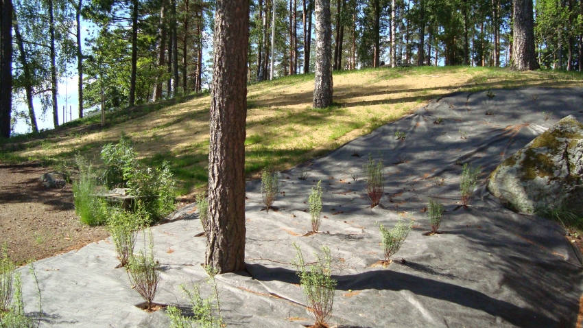 Weedkiller rikkaruohonestomattoa asennettuna lehtipensasryhmän yhteyteen.