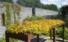 Siirtyminen referenssiin Nordic Green Roof® maksaruohoviherkatto Mikkelissä sivustolla eg-trading.fi.