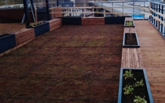 Siirtyminen referenssiin Nordic Green Roof® maksaruohoviherkatto Tampereella sivustolla eg-trading.fi.