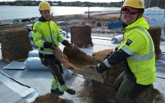 Siirtyminen referenssiin Nordic Green Roof® maksaruohoviherkatto Verkkosaaren päiväkoti sivustolla eg-trading.fi.