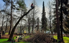 Siirtyminen referenssivalikkoon Puunhoito/arboristityöt sivustolla eg-trading.fi.