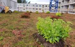 Siirtyminen referenssiin Nordic Green Roof® maksaruohoviherkatto biomoduuleilla sivustolla eg-trading.fi.